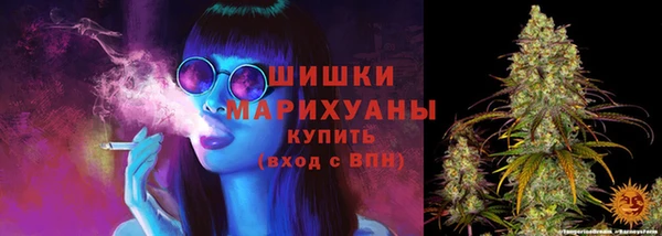 круглые Белокуриха