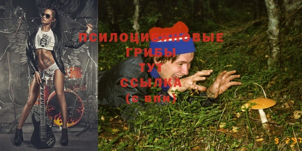 дмт Беломорск